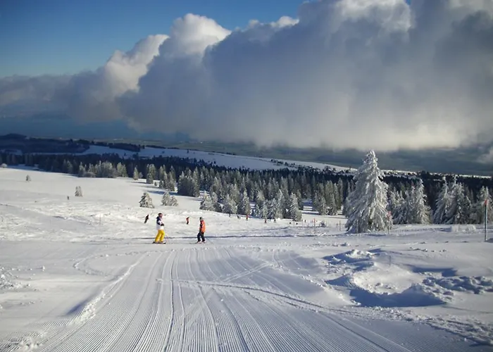 圣克鲁瓦大别墅 * 圣克鲁瓦